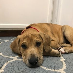 Meet your Posher, Wendi